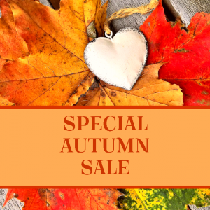 Free PLR Images for November - special autumn sale image