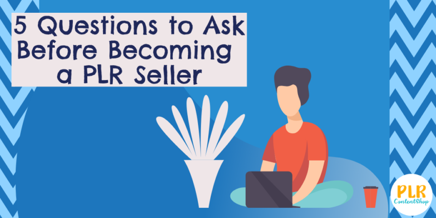 5 questions to consider before becoming a PLR seller